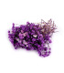 GYPSOPHILE PRÉSERVÉE POUR ARRANGEMENTS FLORAUX