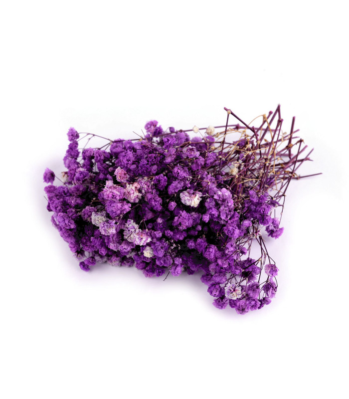 GYPSOPHILE PRÉSERVÉE POUR ARRANGEMENTS FLORAUX