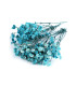 GYPSOPHILE PRÉSERVÉE POUR ARRANGEMENTS FLORAUX