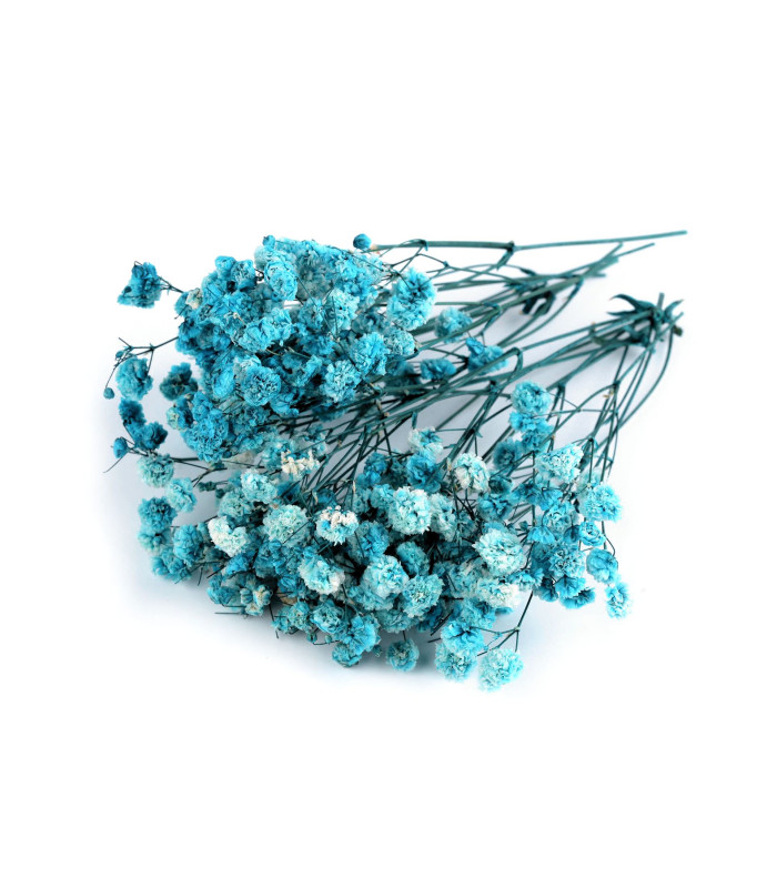 GYPSOPHILE PRÉSERVÉE POUR ARRANGEMENTS FLORAUX