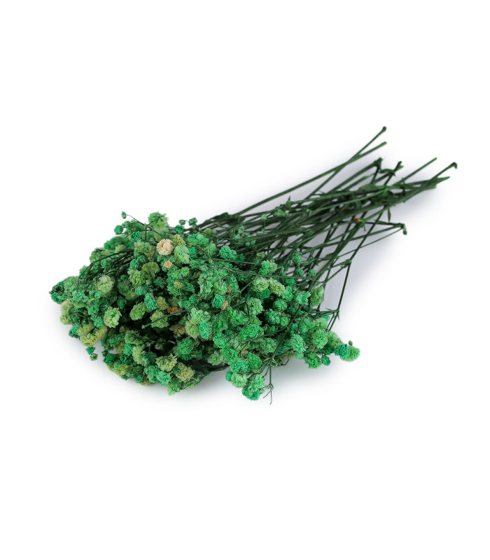 GYPSOPHILE PRÉSERVÉE POUR ARRANGEMENTS FLORAUX