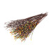 BRANCHE ARTIFICIELLE AVEC BOURGEONS