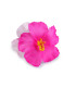PINCE À CHEVEUX FLEUR D’HIBISCUS