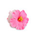 PINCE À CHEVEUX FLEUR D’HIBISCUS