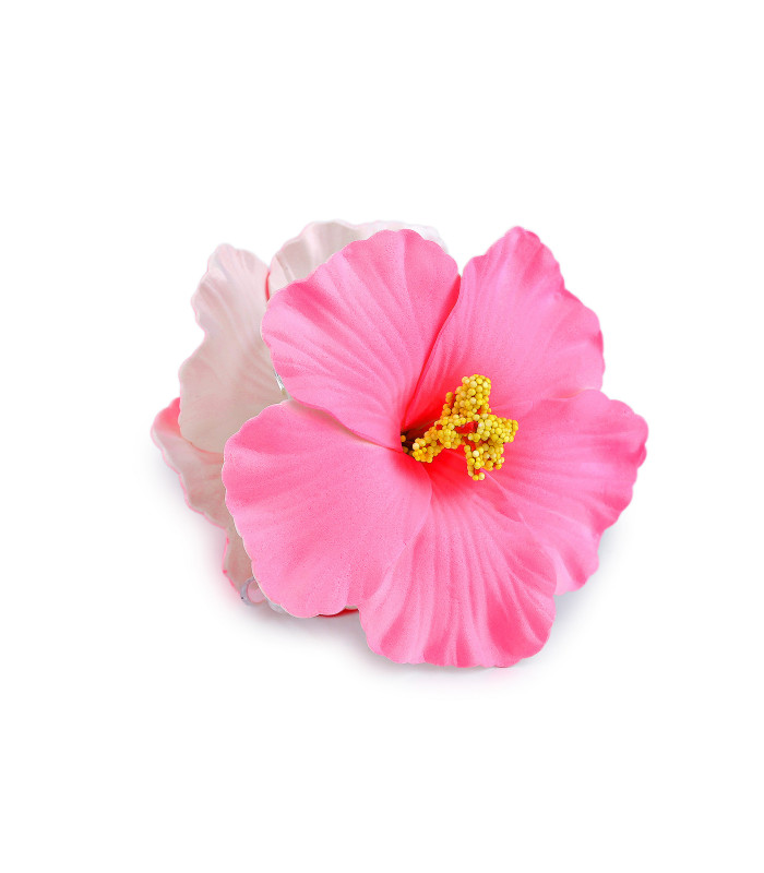 PINCE À CHEVEUX FLEUR D’HIBISCUS