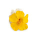 PINCE À CHEVEUX FLEUR D’HIBISCUS