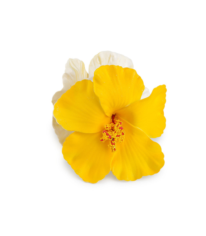 PINCE À CHEVEUX FLEUR D’HIBISCUS