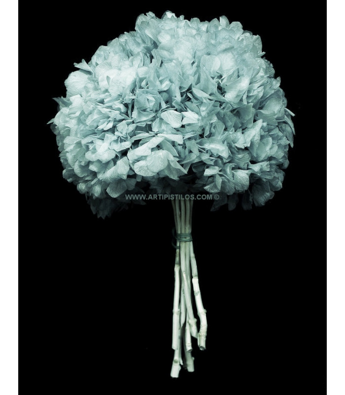 HORTENSIA NATUREL STABILISÉ "PREMIUM"