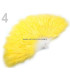 ÉVANTAIL DE PLUMES 50 - 65 CMS.