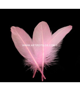 SAC DE PLUMES DE CANARD