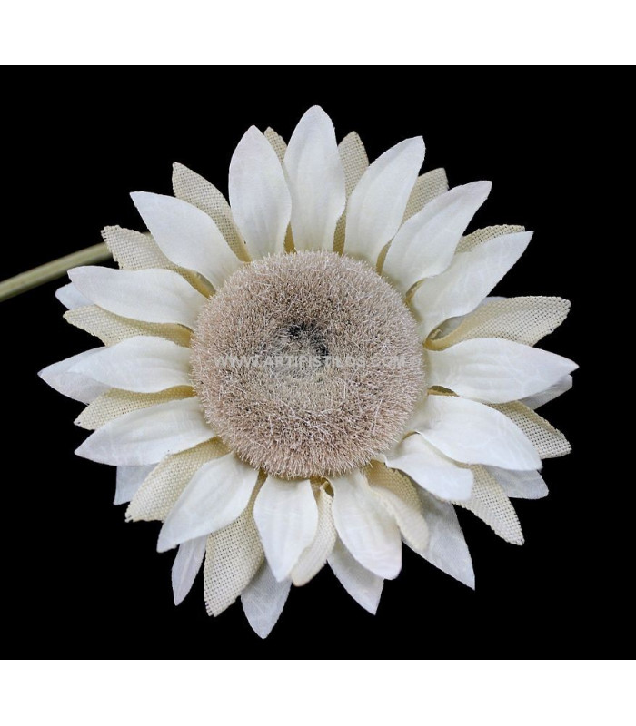 TOURNESOL Ø13 CMS.