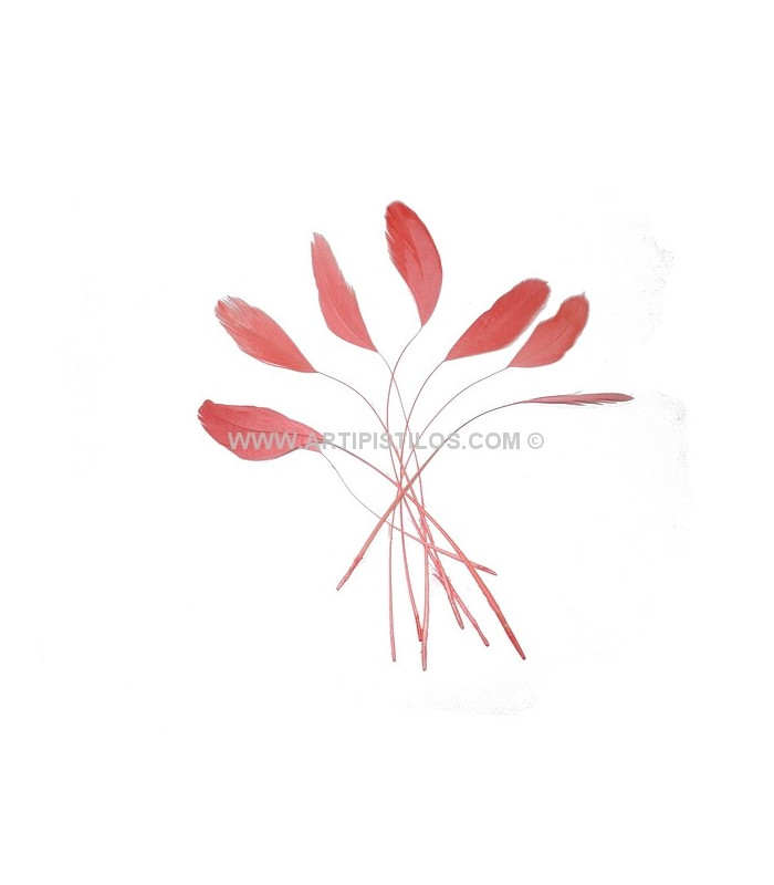 POCHE PLUMES DE COQ