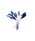 POCHE PLUMES DE COQ