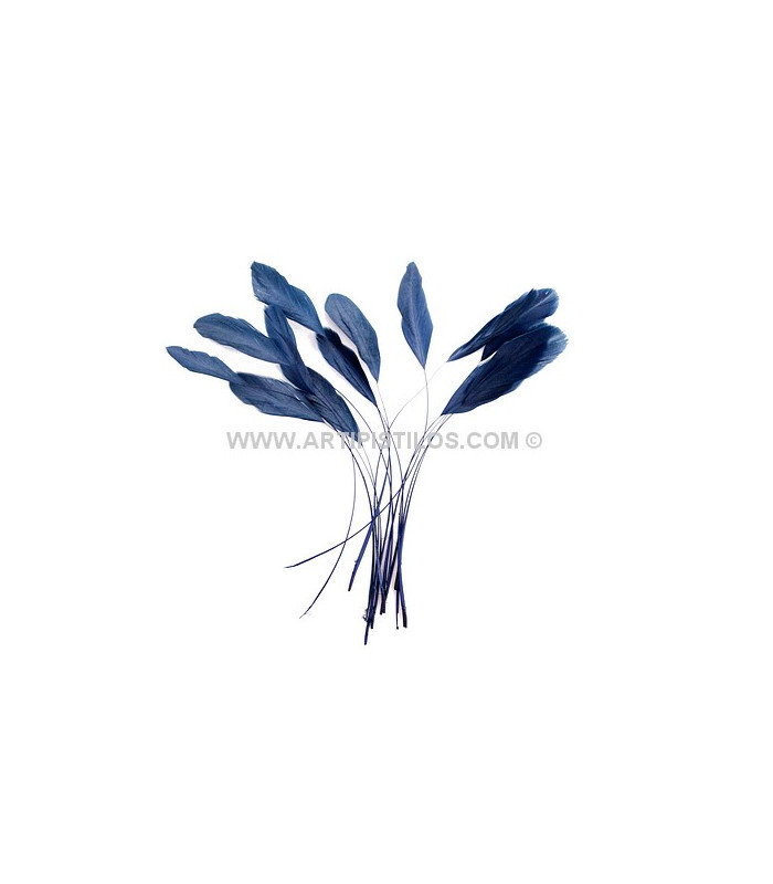 POCHE PLUMES DE COQ
