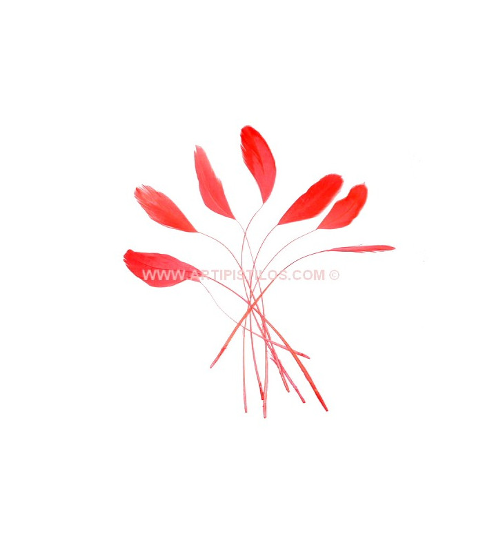 POCHE PLUMES DE COQ