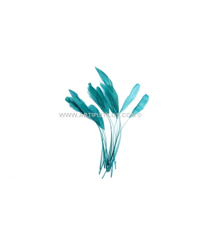 POCHE PLUMES DE COQ