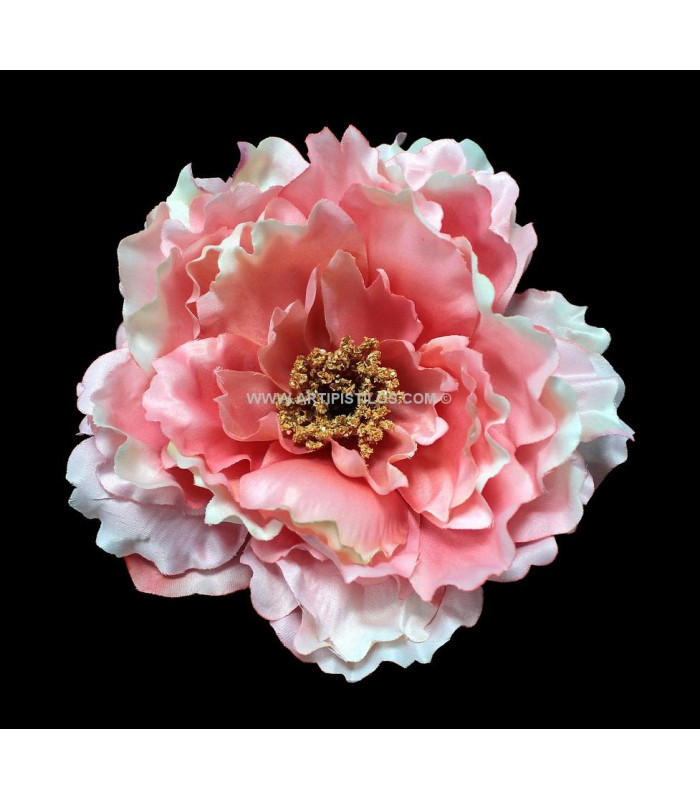 TÊTE DE PIVOINE 18 X 6 CMS.
