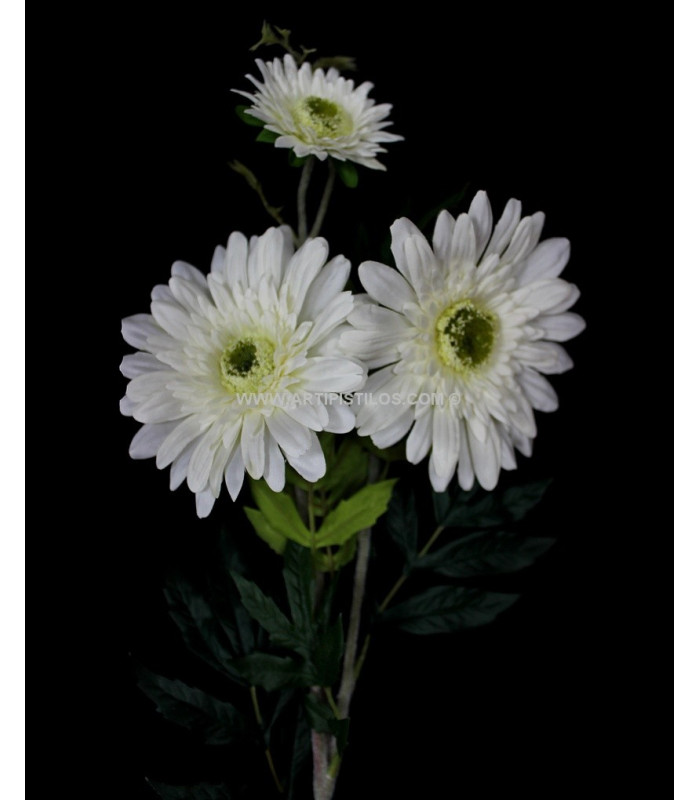BÂTON DE GERBERA 3 FLEURS