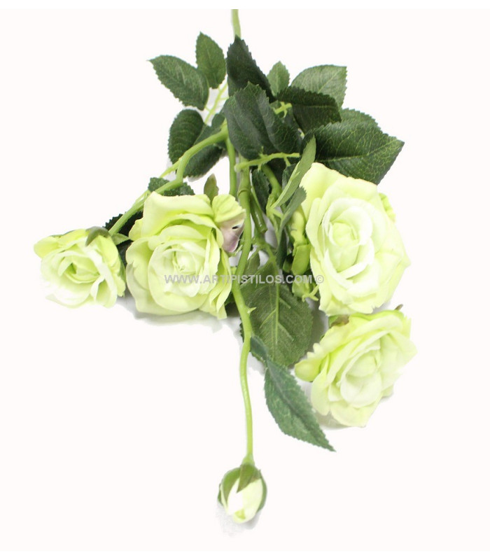 BOUQUET DE 5 ROSES