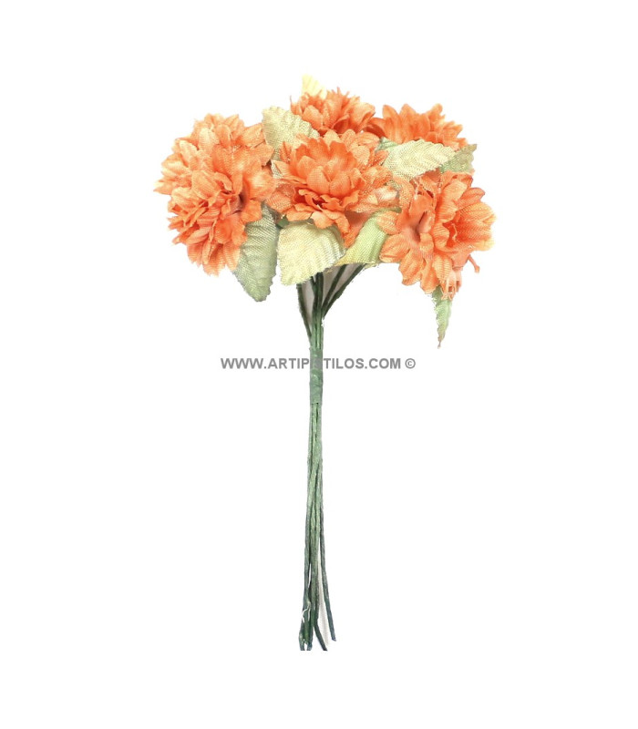 FLEUR ZINNIA BOUQUET 6 UNITÉS