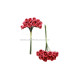 BOUQUET 12 FLEURS DE FOAM