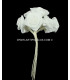 BOUQUET 12 FLEURS EN SATIN