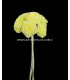 BOUQUET 12 FLEURS EN SATIN