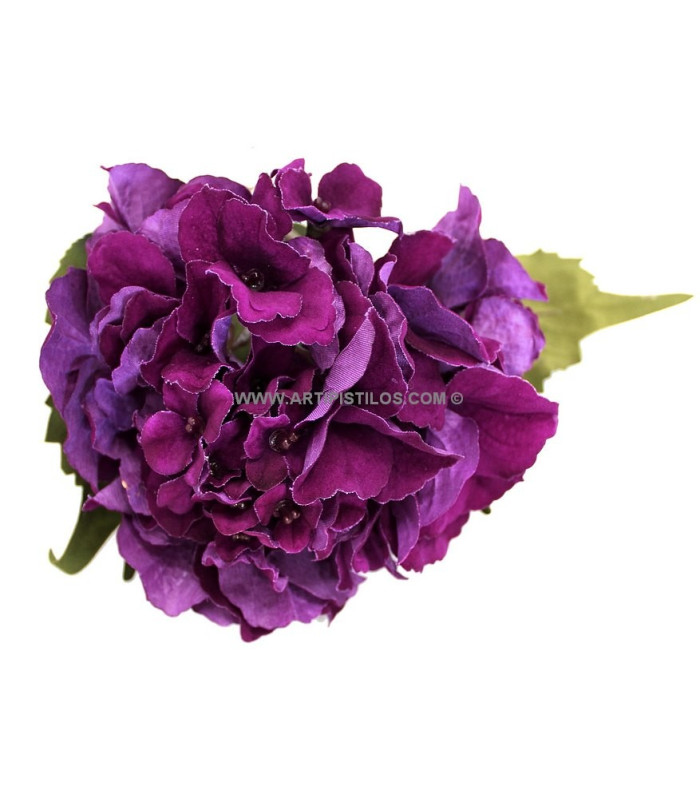 HORTENSIA VELOUR