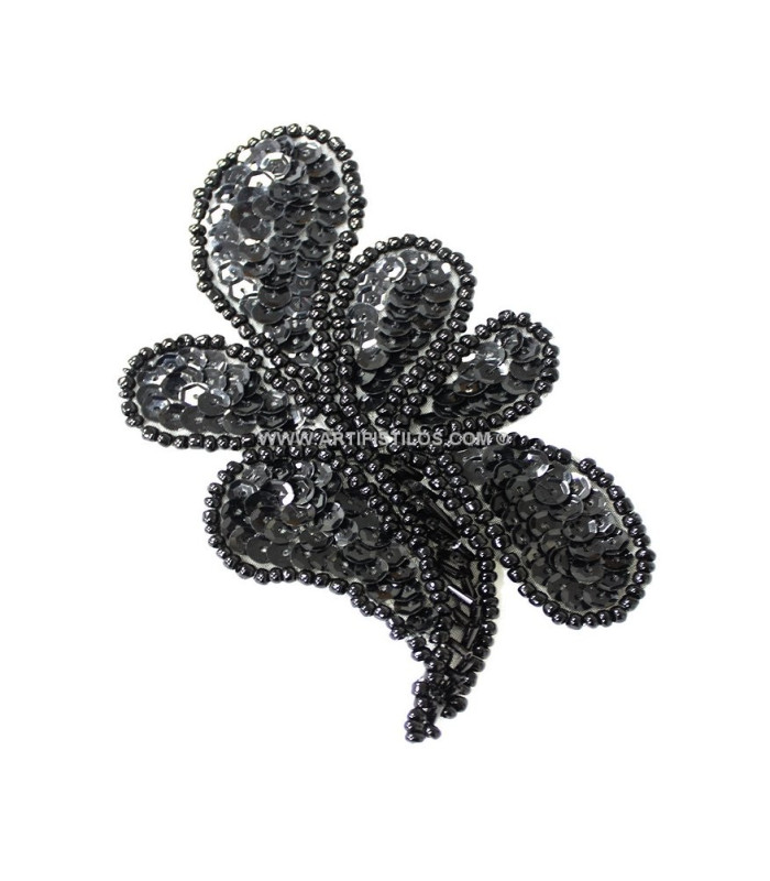 APPLICATION DE PAILLETTES
