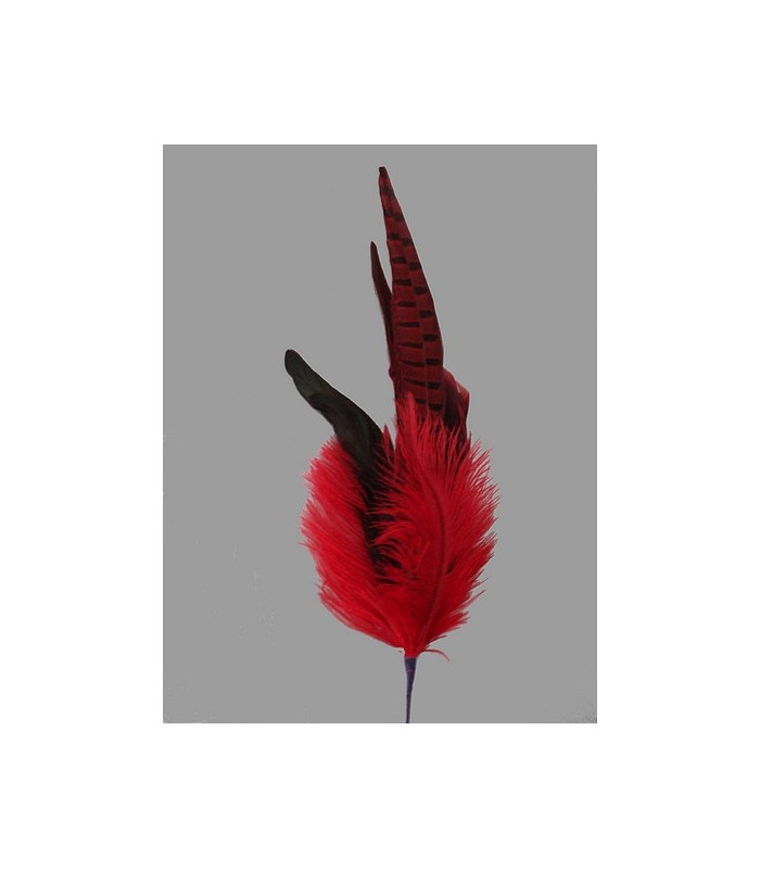 MONTAGE DE PLUMES FAISAN-AUTRUCHE-COQ