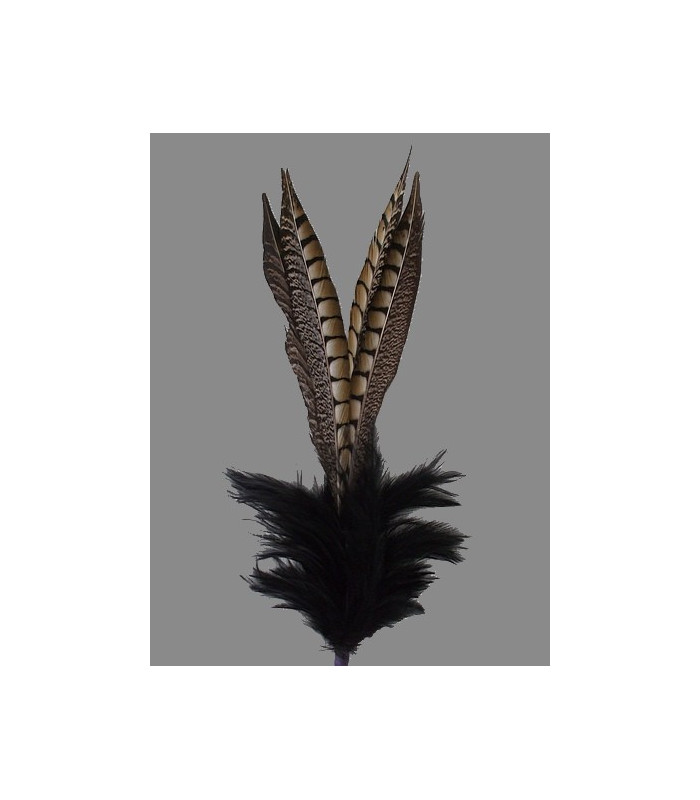 MONTAGE DE PLUMES FAISAN-COQ