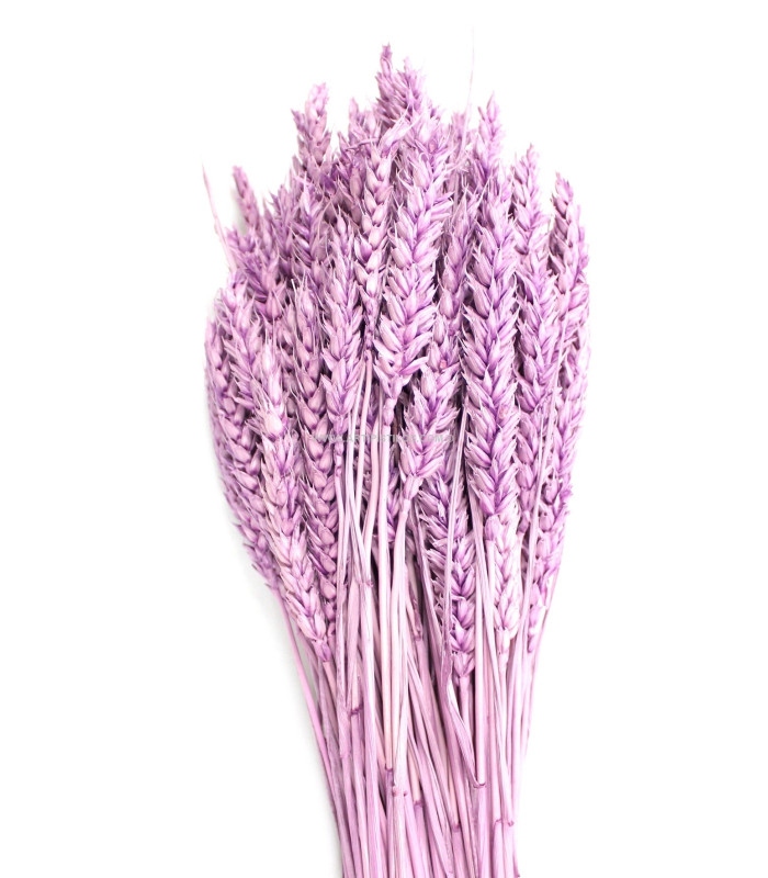 Pic de blé natural