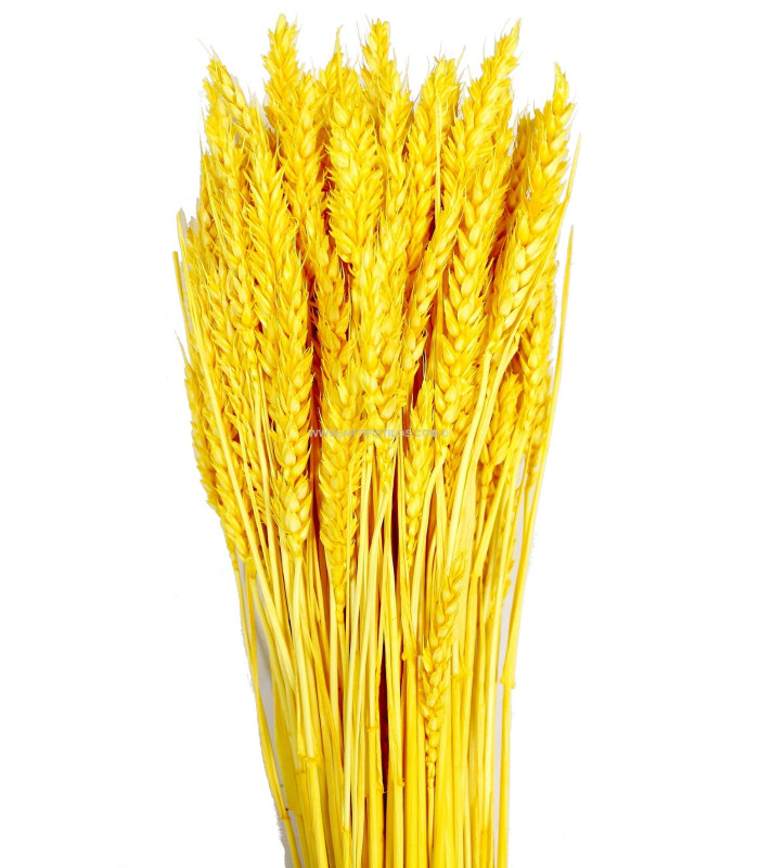 Pic de blé natural