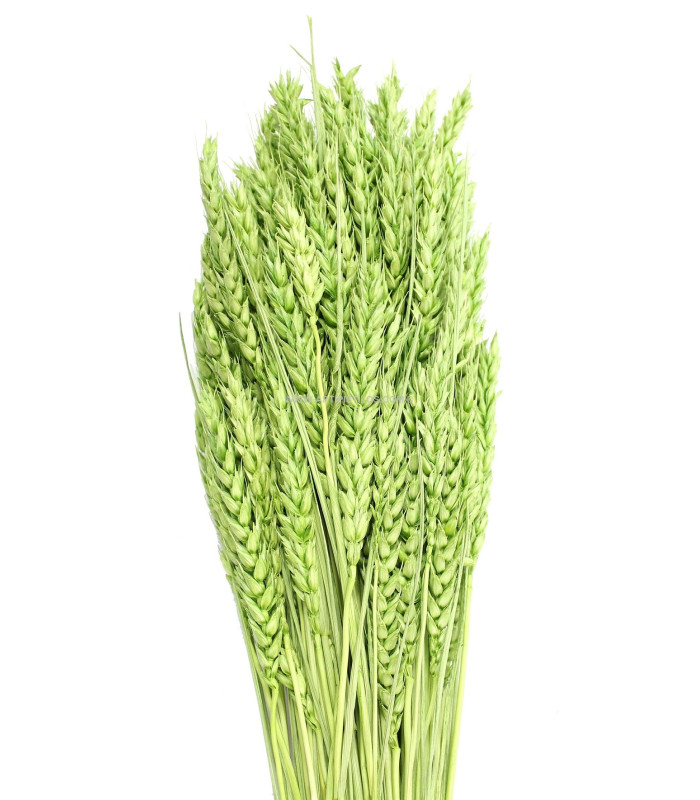 Pic de blé natural