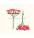 BOUQUET FLEURS EN PAPIER