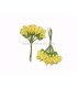 BOUQUET 12 FLEURS DE FOAMY