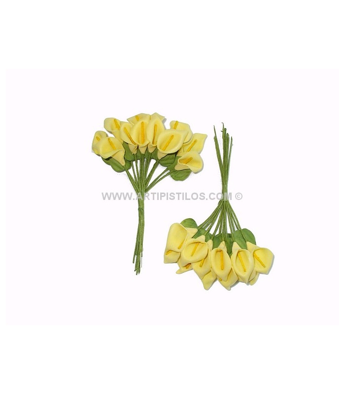 BOUQUET 12 FLEURS DE FOAMY