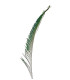 PLUME PAON ÉPÉE 30 CMS.
