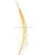 PLUME PAON ÉPÉE 30 CMS.