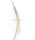 PLUME PAON ÉPÉE 30 CMS.
