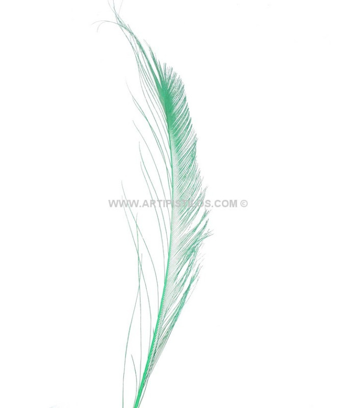 PLUME PAON ÉPÉE 30 CMS.