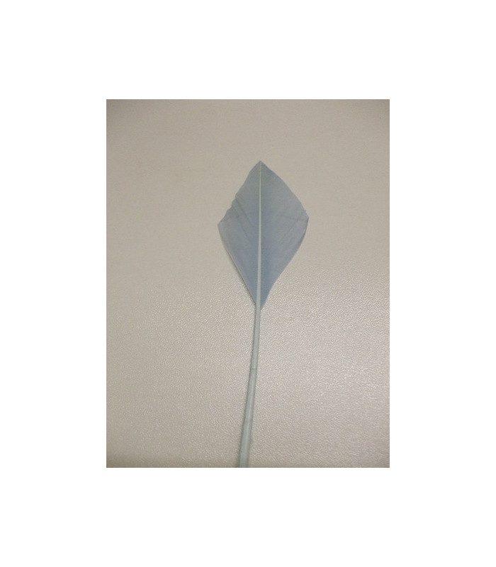 PLUME POINTE DE FLÈCHE 30 CMS.