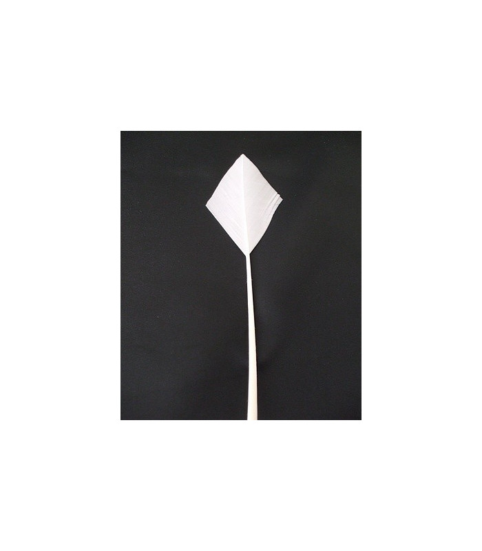 PLUME POINTE DE FLÈCHE 30 CMS.