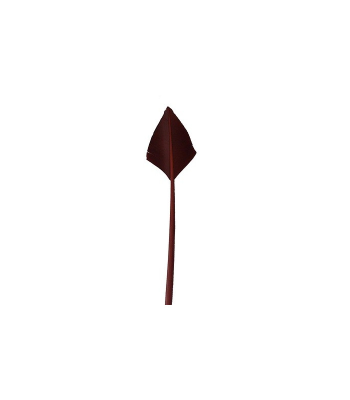 PLUME POINTE DE FLÈCHE 30 CMS.