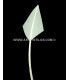 PLUME POINTE DE FLÈCHE 30 CMS.