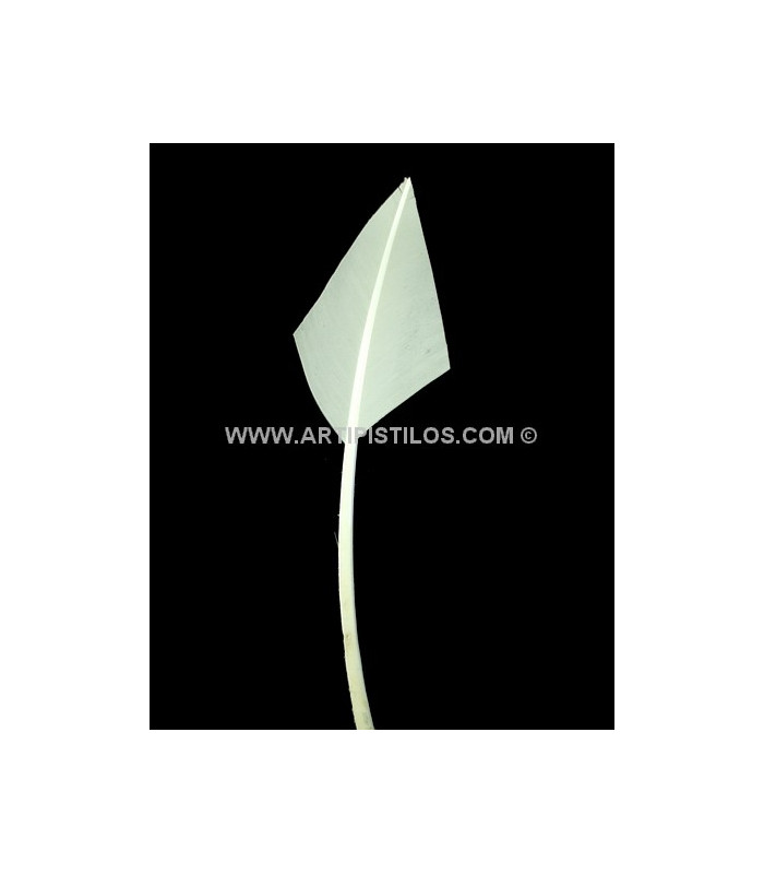 PLUME POINTE DE FLÈCHE 30 CMS.