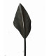 PLUME POINTE DE FLÈCHE 30 CMS.