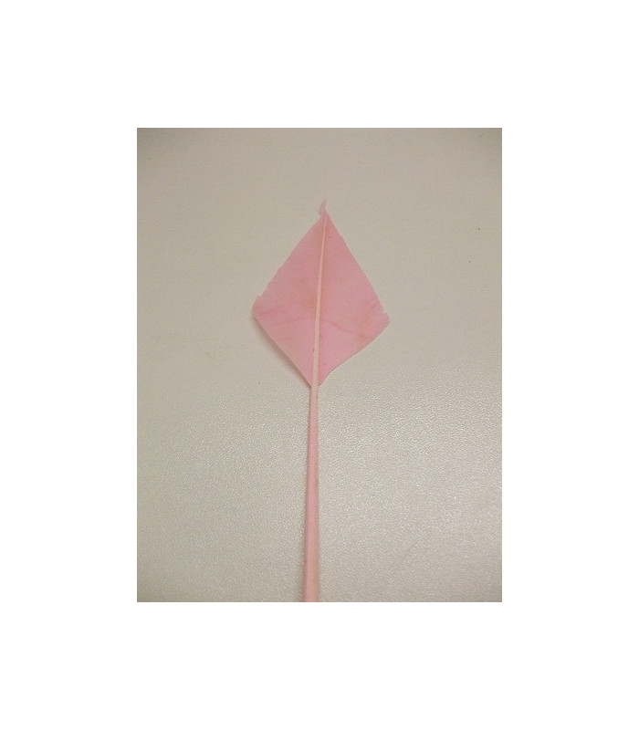 PLUME POINTE DE FLÈCHE 30 CMS.