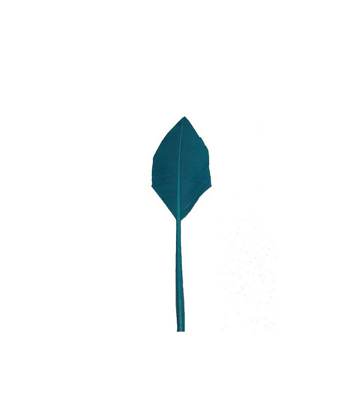 PLUME POINTE DE FLÈCHE 30 CMS.