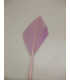 PLUME POINTE DE FLÈCHE 30 CMS.